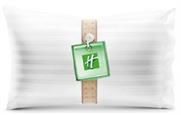 Holiday Inn