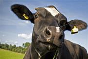 he Dairy Event and Livestock Show milks visitor number success despite downturn