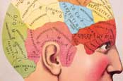 Time you heard of Synaptic Marketing