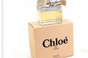 The Chloe scheme signed up customers in-store