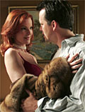 'Desperate Housewives': free episoes available on the net
