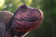 Dinosaurs in the Wild attraction to open this summer