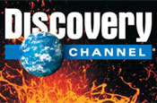 Discovery: international ad team's future under review