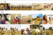Google photos app among those to have fallen foul of algorithms