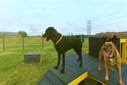 Dogs Trust offers behind-the-scenes access to its centres with VR