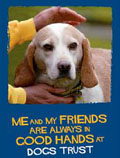 Dog's Trust: mail campaign