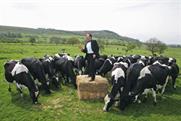 Field marketing comes into its own in the recession