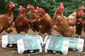 Organic: FSA found no evidence of additional health benefits