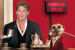 Meerchat...Aleksandr the Meerkat with David Hasselhoff