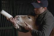 Budweiser: most-popular Super Bowl ad this year