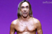 swiftcover.com ...Iggy set to make a return 