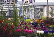 Centenary success for RHS Chelsea Flower Show