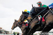 Cheltenham Festival: Citroen signs up