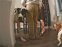 Electrolux: ads feature talking machines