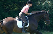 Eventing: Tri-Zone backing Training series