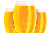 InBev hands £20m Stella Artois account to Mother