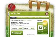 Brit Oval launches cricket wicket widget