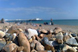 Brighton beach