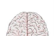 THE TALENT REPORT: Left brain or right brain: what kind of marketer are you?