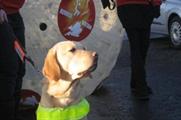 Guide Dogs for the Blind