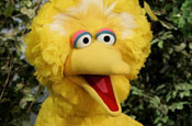 Sesame Street: hit hard by recession