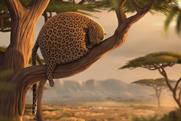 Saatchi & Saatchi New Directors' Showcase 2014