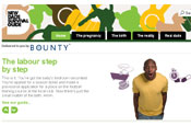 New Dads Survival Guide: new dads' website by Bounty