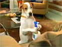 Febreze: P&G ads are 'too global'