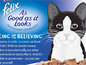 World of Felix: cat-themed merchandise