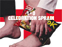 Findus: celebrating and soothing