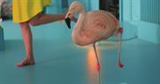 Pick of the week: Chambord, Wieden and Kennedy London