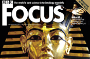 Focus looks for new chief after Parsons leaves