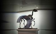 Fourth plinth digital exhibition allows shortlisted statues to 'live forever'