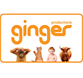 Ginger: new logo