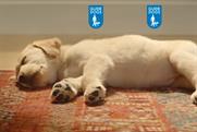 Guide Dogs: new agencies