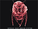 Hans Brinker: boasts about bedbugs boosting immune system