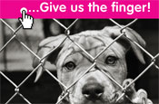 Help: unveils 'Give us the finger' campaign