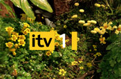ITV: Sky must reduce holding to less than 7.5%