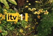 Brands offered chance to align with ITV's top shows
