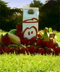 Inncent: raids Cereal Partners for marketing director
