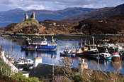 Visit Scotland: in search for agencies 
