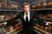'Jamie's Fowl Dinners': documentary on battery farming