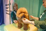 Klarna creates 'pup-up' with dog-grooming services