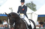 British dressage: increasing turnover