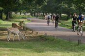 London Duathlon: raising money for healthcare