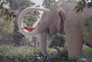 Lufthansa: the German agency Kolle Rebbe handles the brand’s creative work