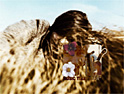 MTV: 'Exquisite Corpse' creative