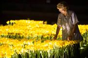 In pictures: Marie Curie's Garden of Light