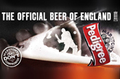 Marston's: extending cricket sponsorship to Sky Sports