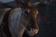 McDonald's revisits #ReindeerReady for Christmas ad